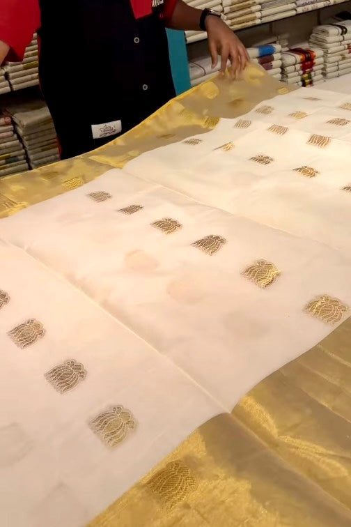Balaramapuram Handloom Saree with Temple Design - alternate view